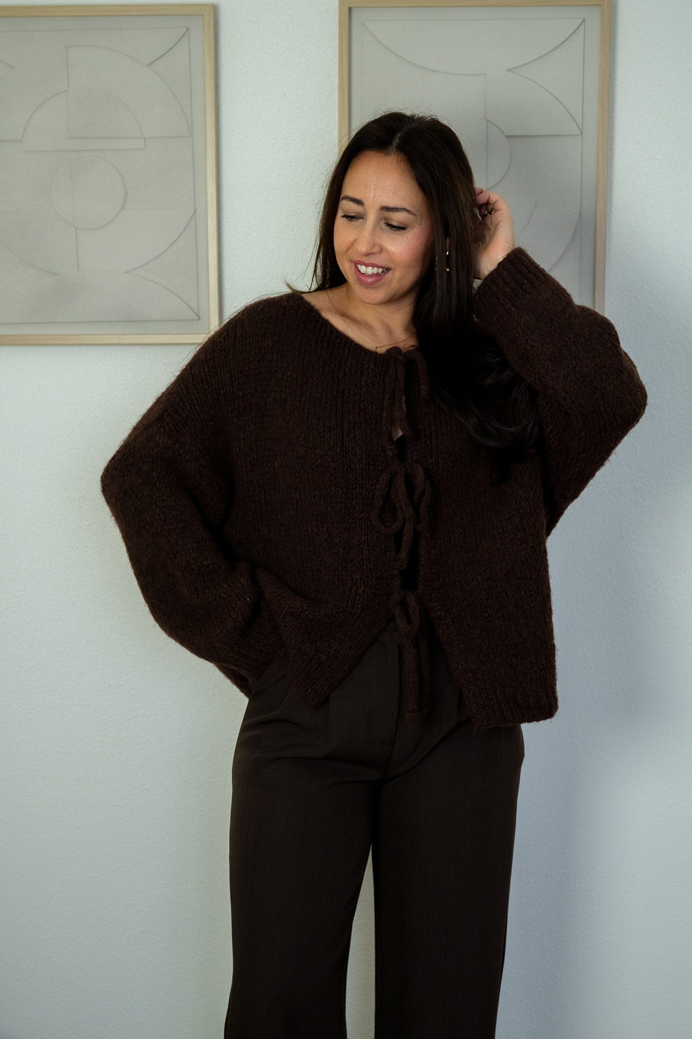 SC Dex Vest Bruin - Afbeelding 3