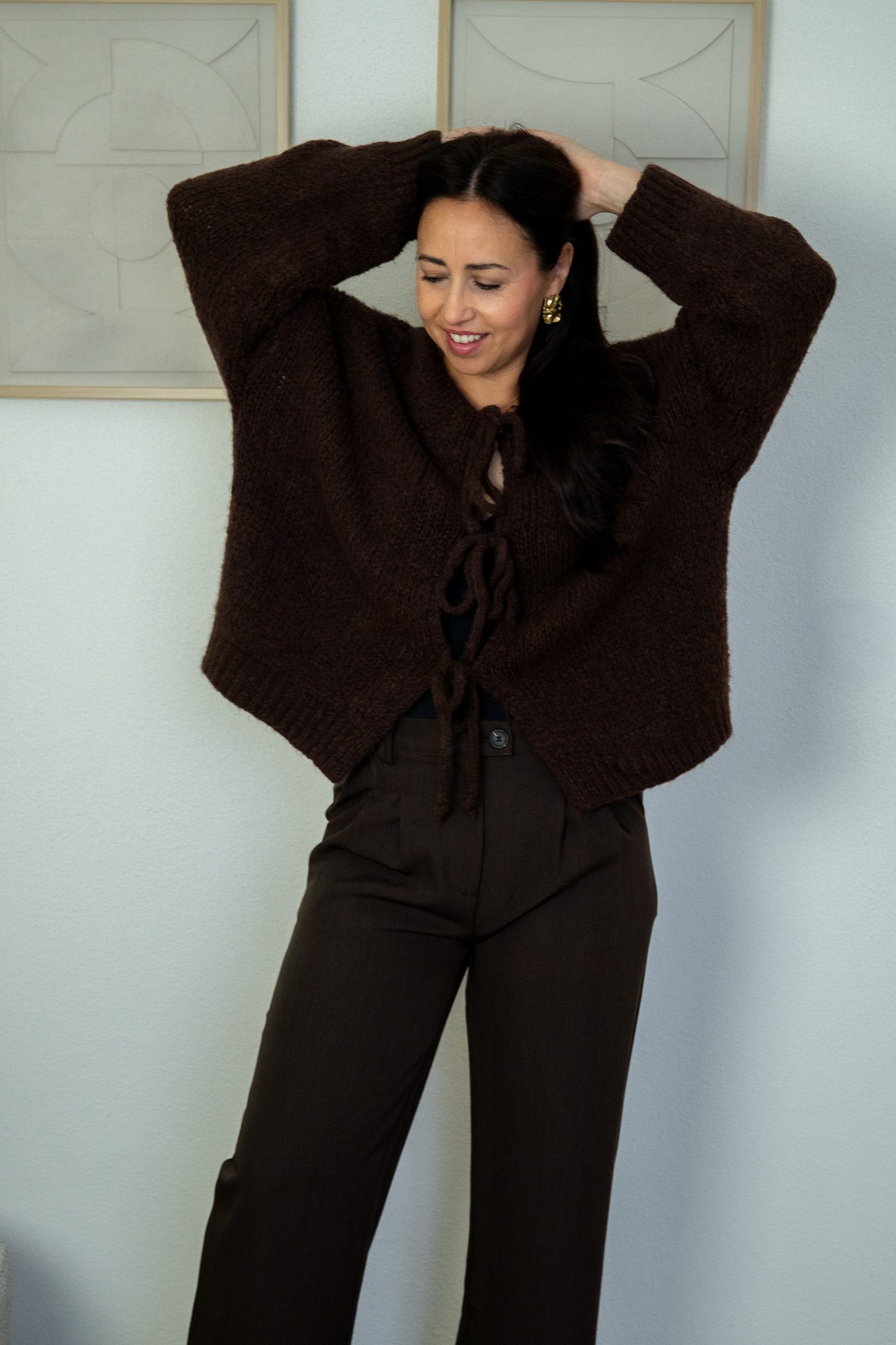 SC Dex Vest Bruin - Afbeelding 2