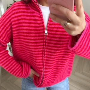 Gwenn Vest Roze
